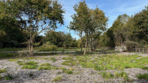 Land for sale in Sayers Common photo
